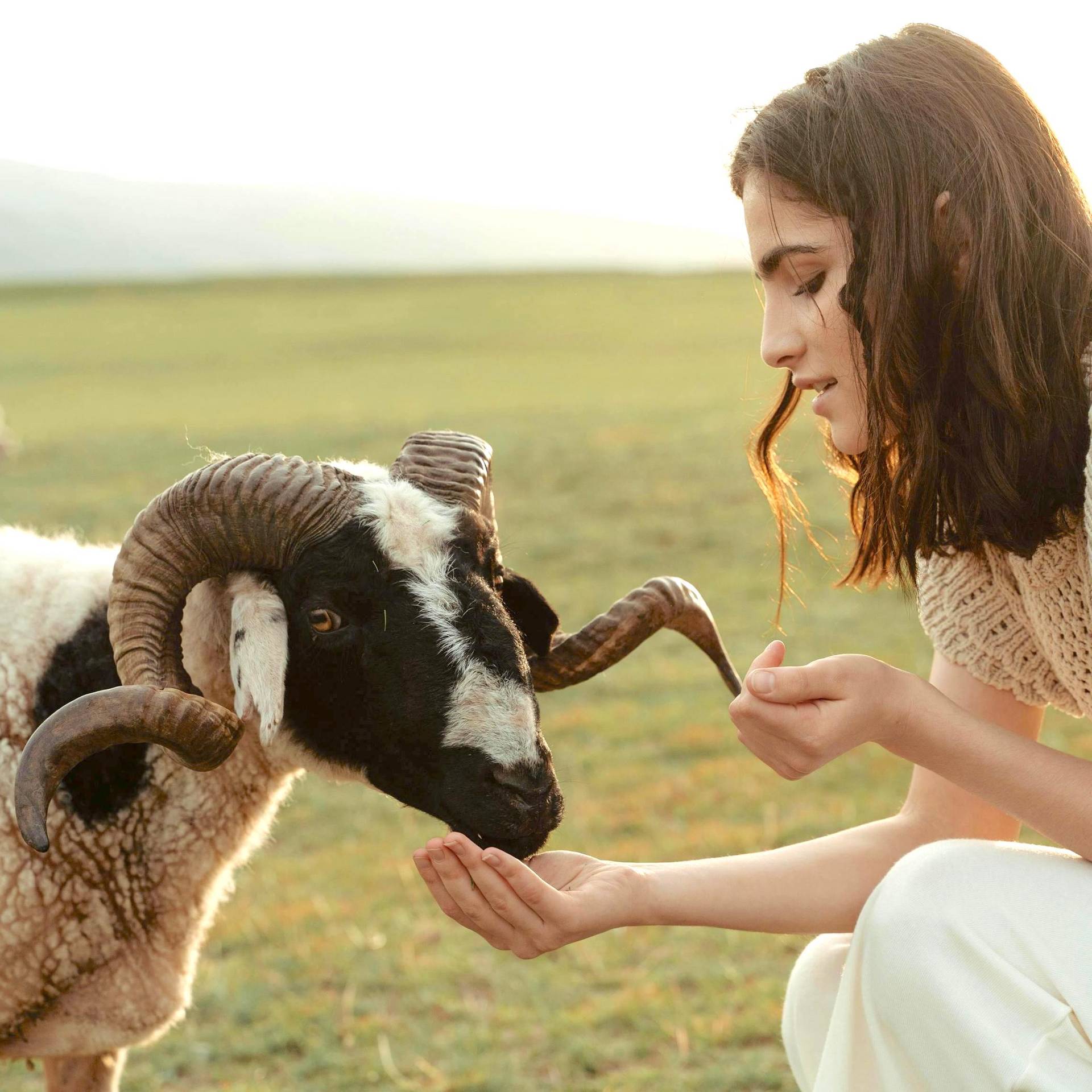  inner maverick growing horns of empathy for divine self